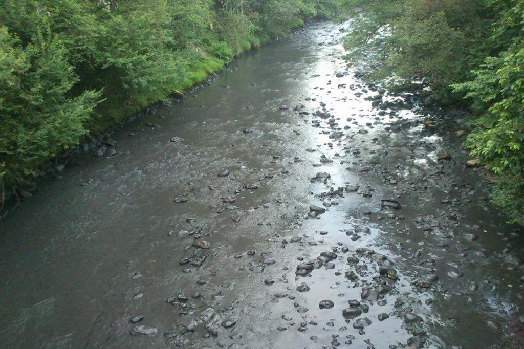 Resíduos de carvão que vazaram de carbonífera