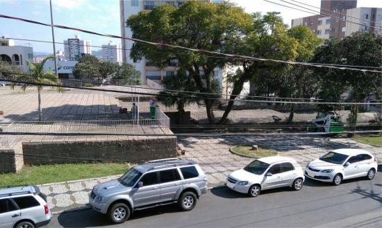 Era apenas uma árvore?